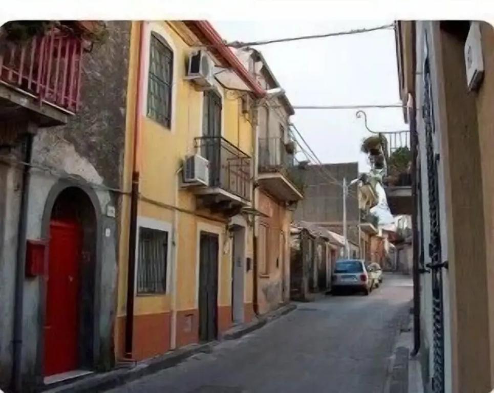 фото Don Diego