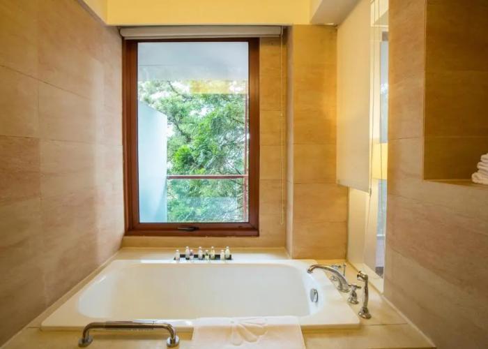 Alishan Hotel