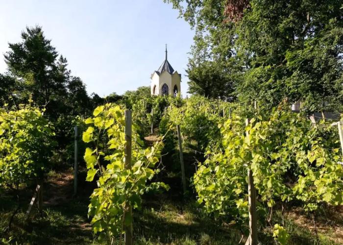 Holiday Apartment in Werder