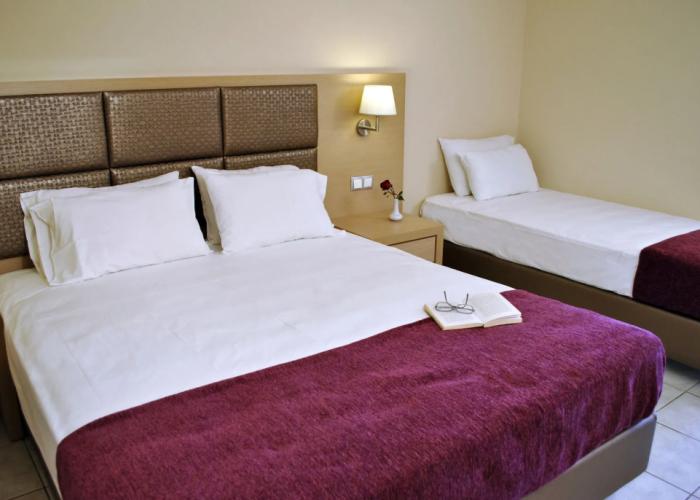 Hotel Plessas Palace