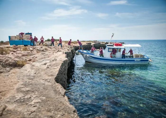 Calamoni di Favignana Apartments & Wine Experience