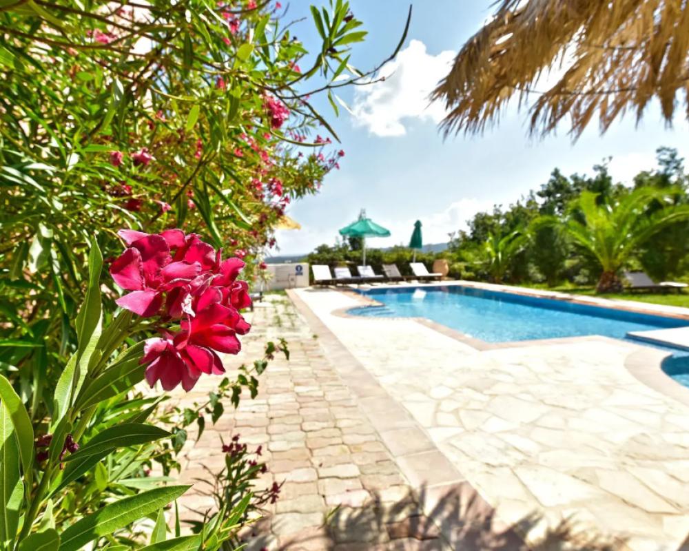 фото Villa Seli