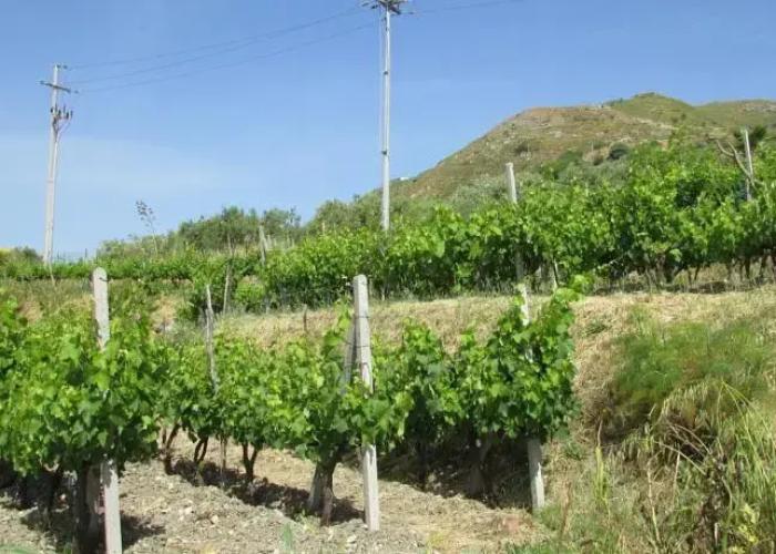 Casale Di Caterina