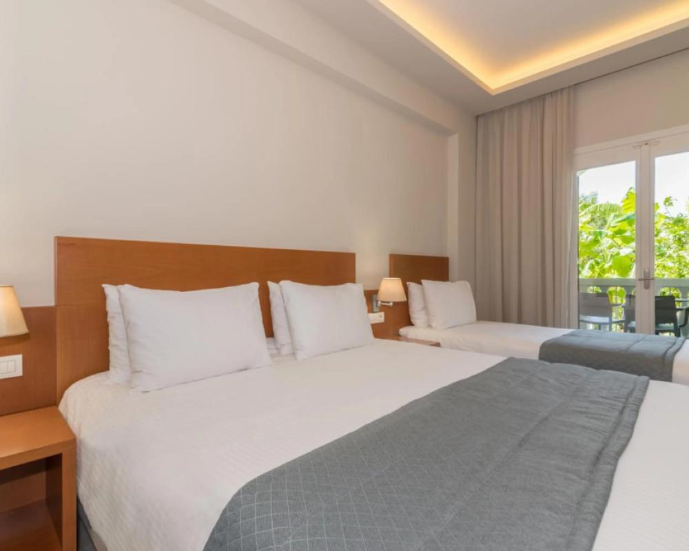 фото Hotel Palmyra