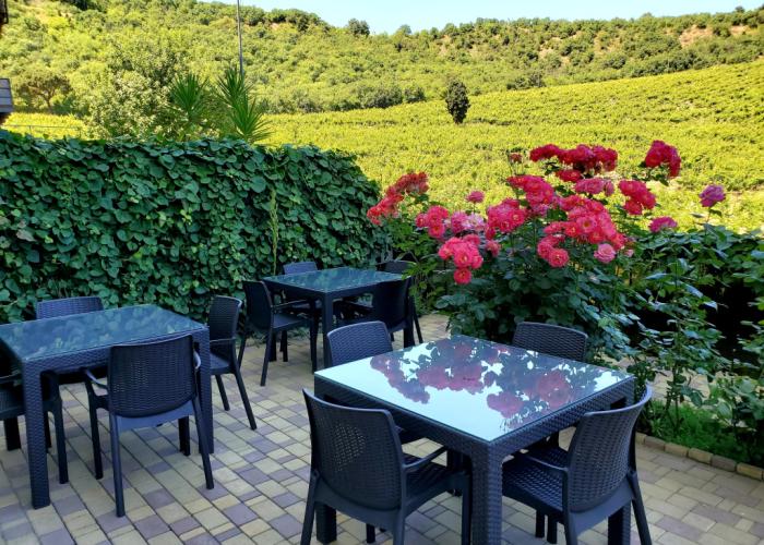 Zlata Guest house