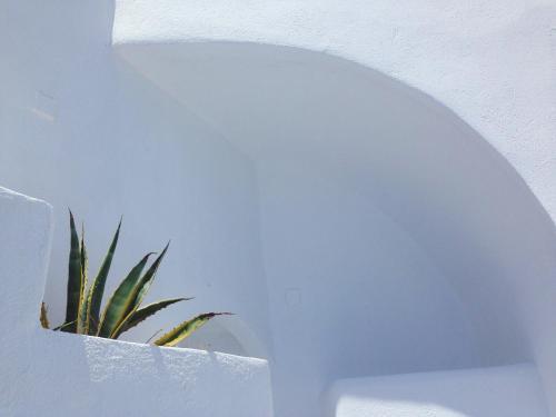 Altana Cliffside Villas