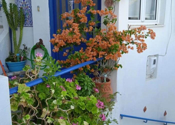 Alkistis Cozy By The Beach Apt In Ikaria Island, Therma 1st Floor