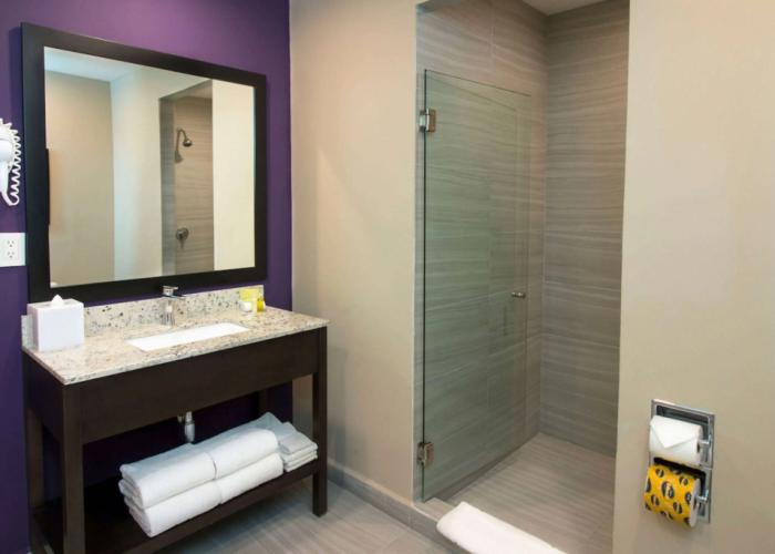 CHN Hotel Monterrey Norte, Trademark Collection by Wyndham