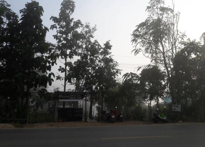 Nusha Homestay