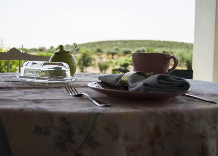 Monte da Estrela Country House & SPA