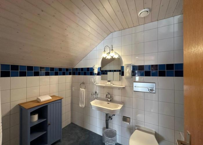 Hotel Chalet Swiss