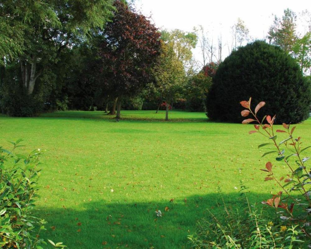 Roganstown Hotel & Country Club