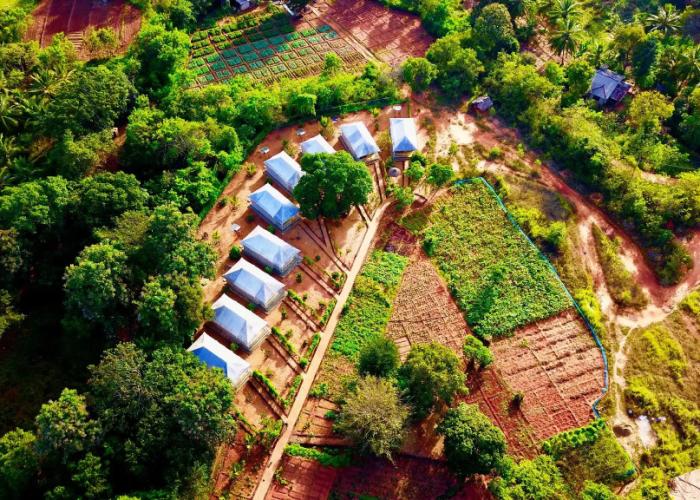 Rangiri Dambulla Resort