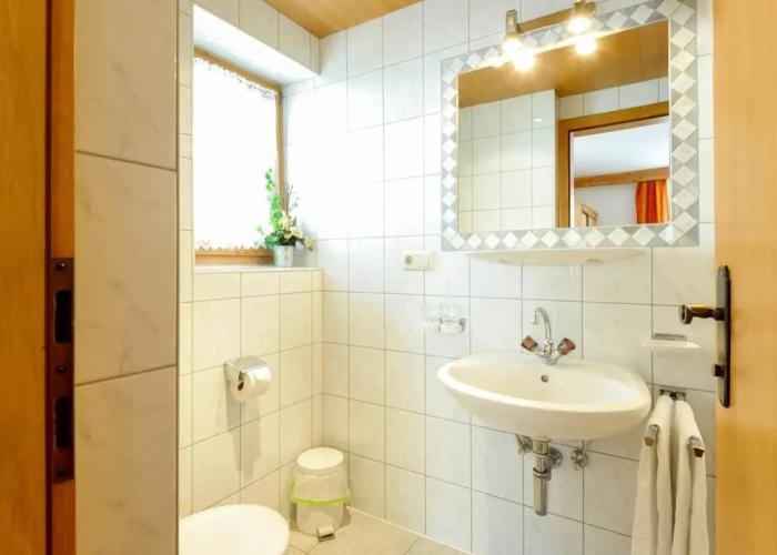 Apartment Near the ski Area in Wagrain