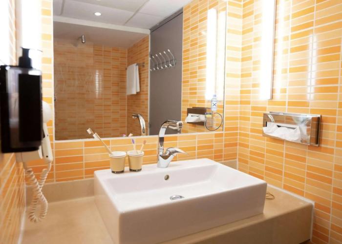 Ibis Styles Cognac