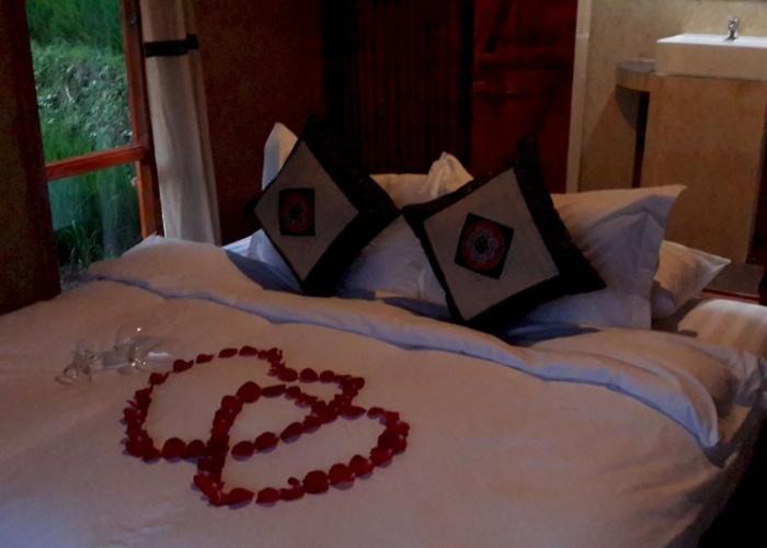 Eco Palms House - Sapa Retreat