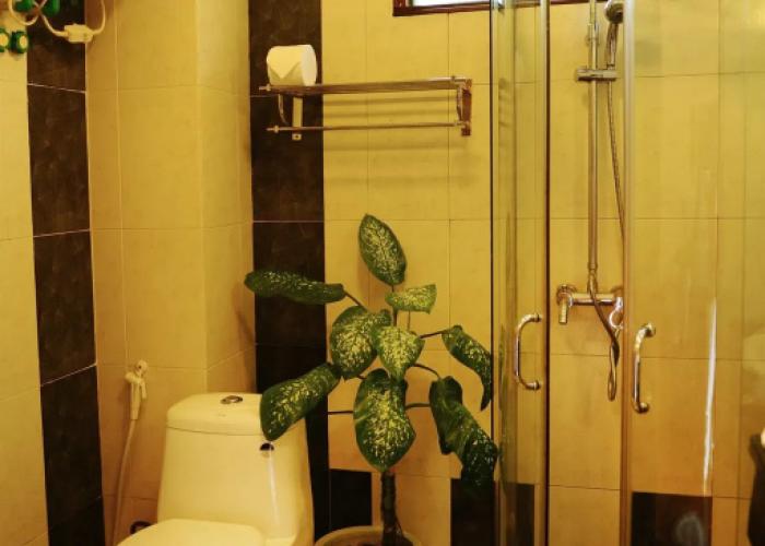Sapa Elegance Hotel