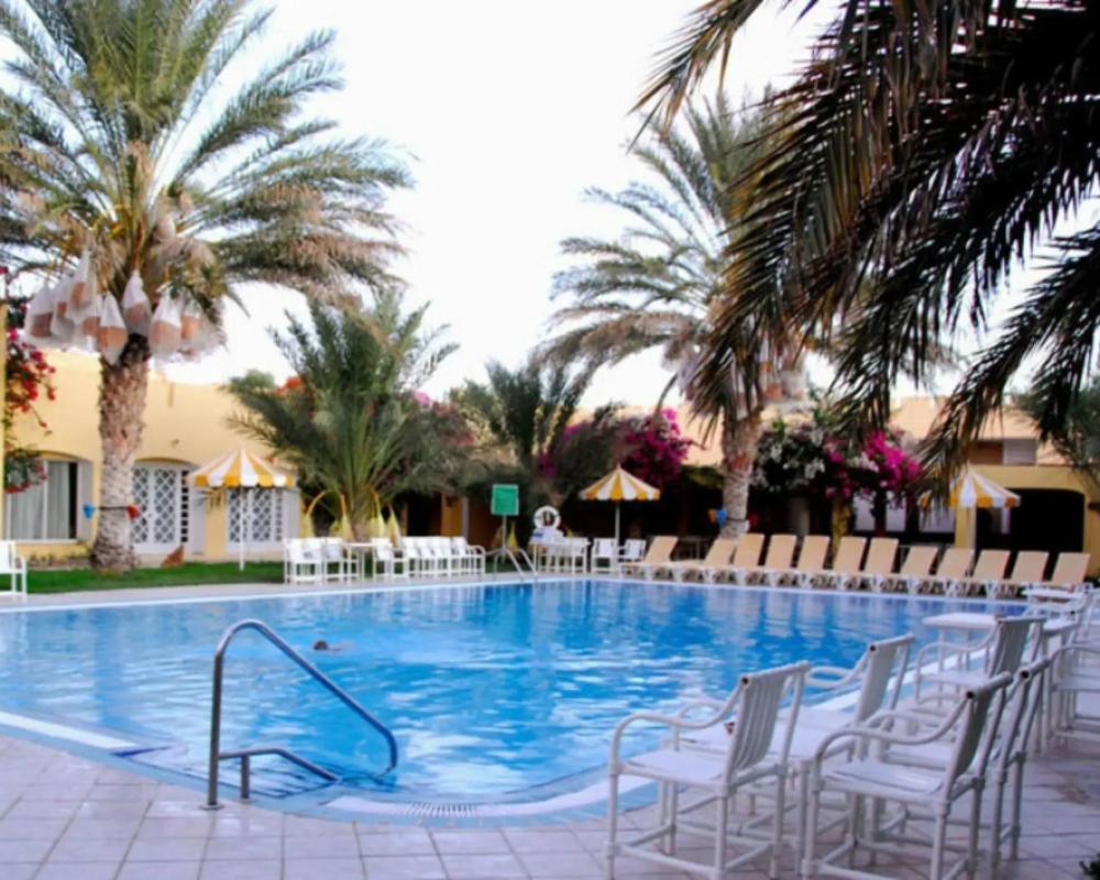 фото Sun Palm
