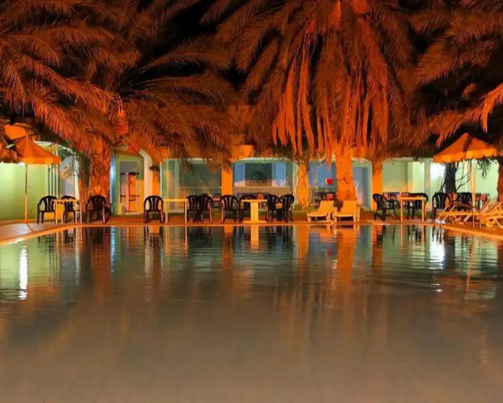 фото Sun Palm