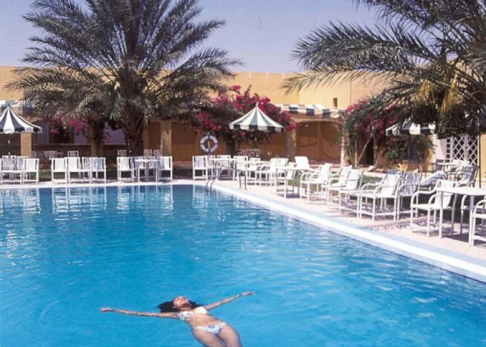 Sun Palm