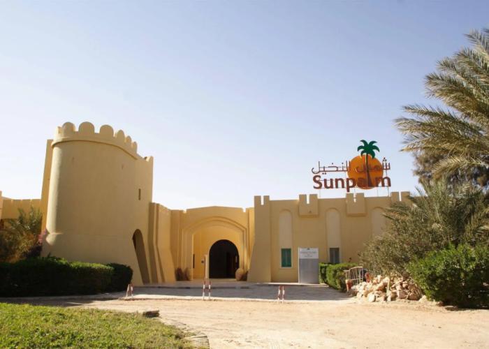 Sun Palm