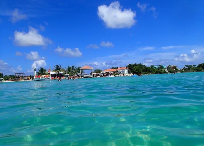 Mr. Ed's Adventures Belize