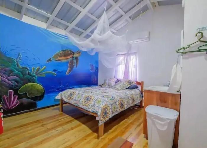 Mr. Ed's Adventures Belize