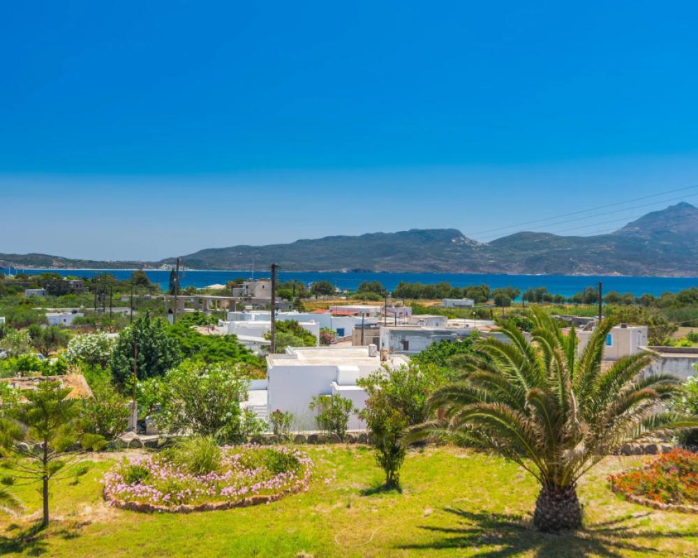 фото Konstantinos