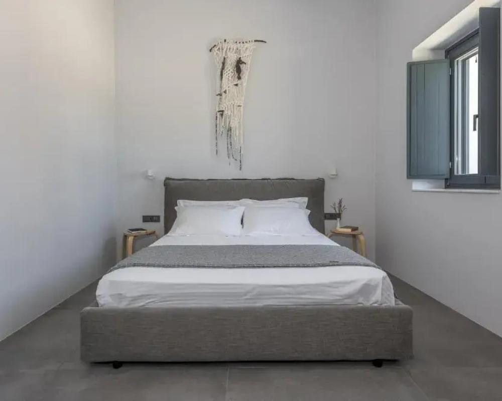 фото Ippocampos