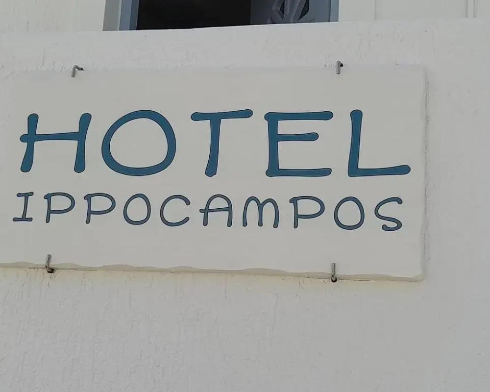 фото Ippocampos