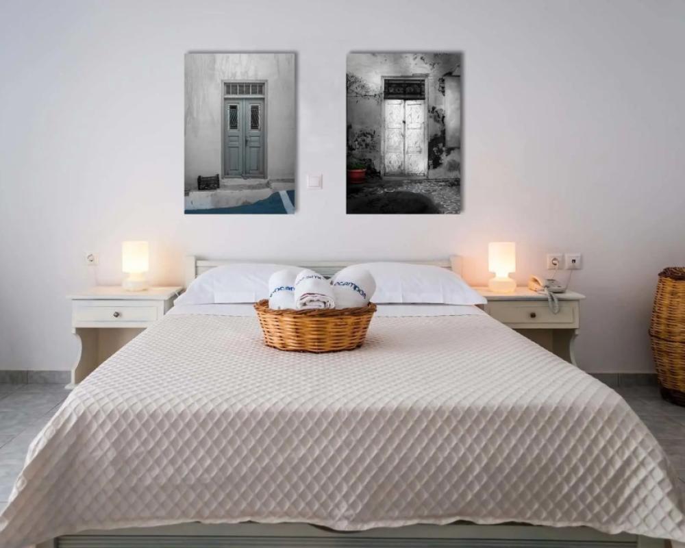 фото Ippocampos