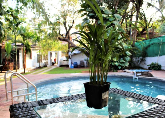Coco's Resort