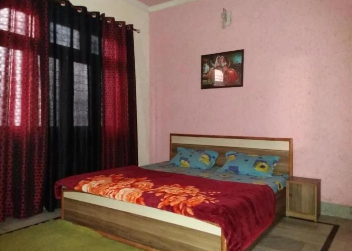 Sonu Guest House - Hostel