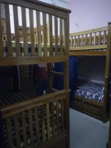 фото Bonfire Hostels Rishikesh