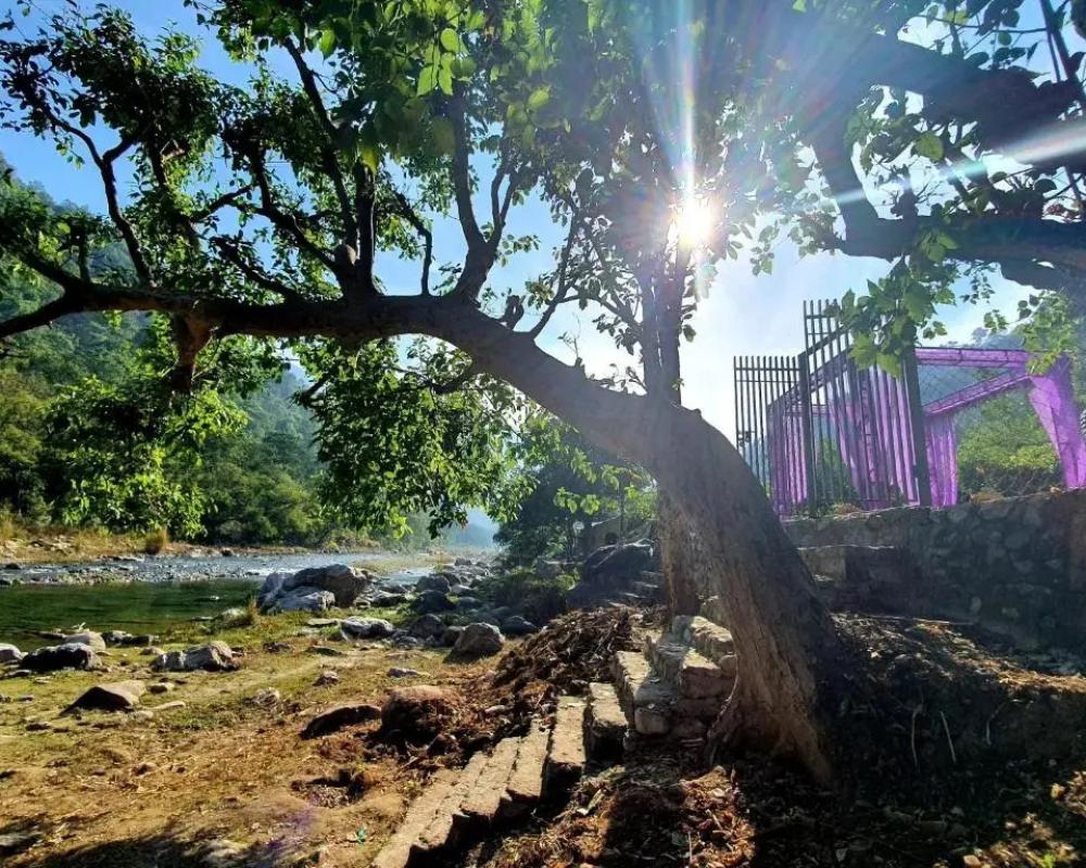 фото Howard Sanctuary Rishikesh