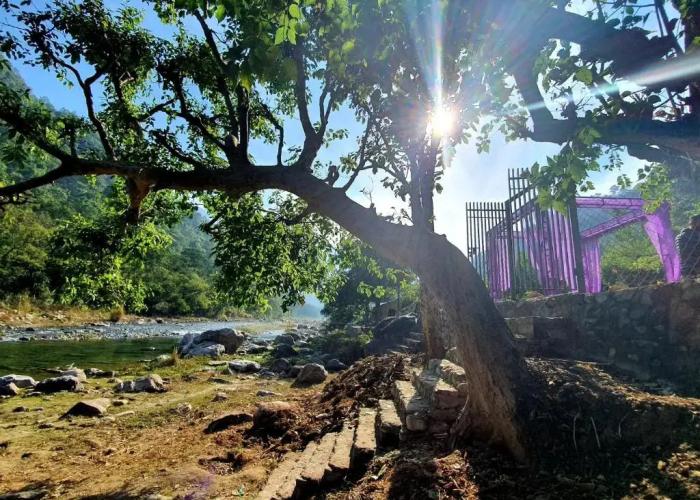 Howard Sanctuary Rishikesh
