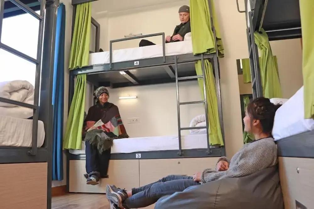 фото The Blue Jay Hostel | Dorms & Rooms