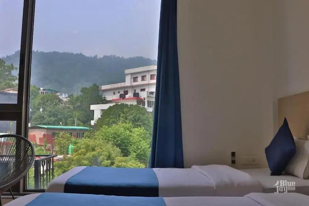 фото The Blue Jay Hostel | Dorms & Rooms