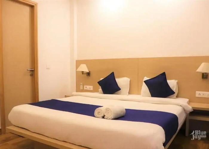 The Blue Jay Hostel | Dorms & Rooms