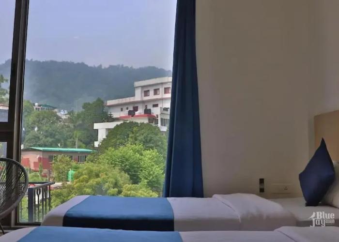The Blue Jay Hostel | Dorms & Rooms