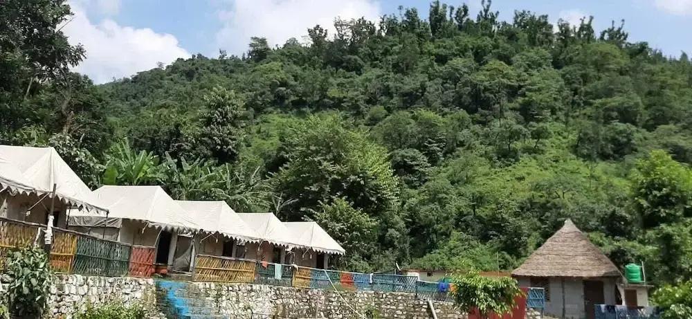 фото Tapovan