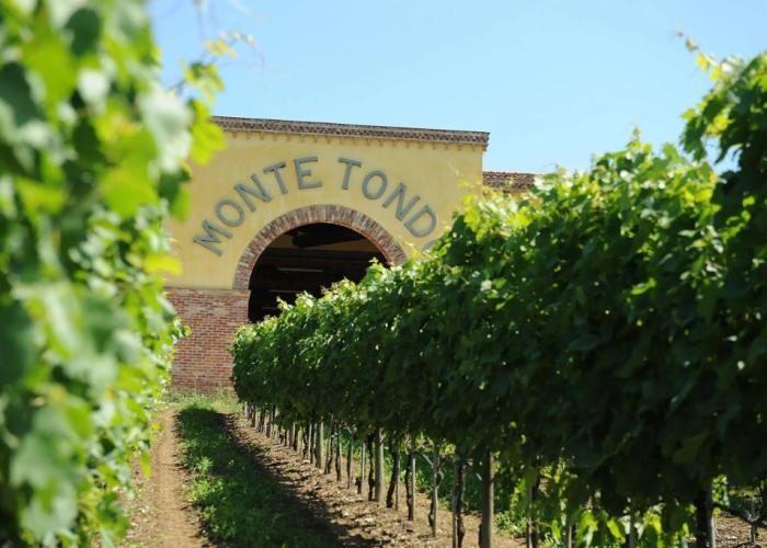 Monte Tondo