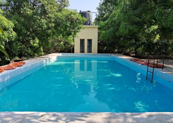 Dev Farm Sasan Gir