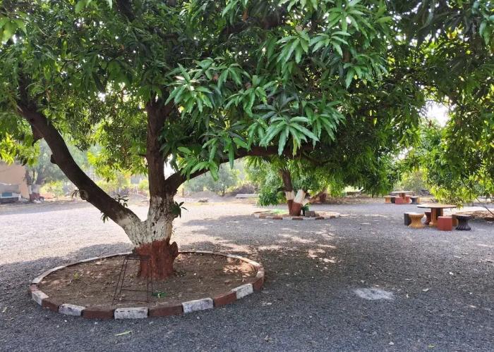 Dev Farm Sasan Gir