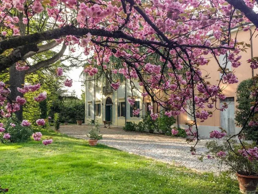 фото Corte Finzi