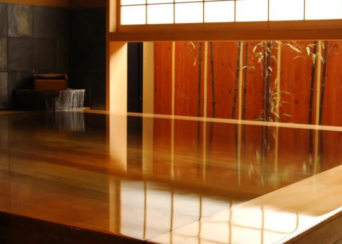 Kamimokuonsen Tatsumikan
