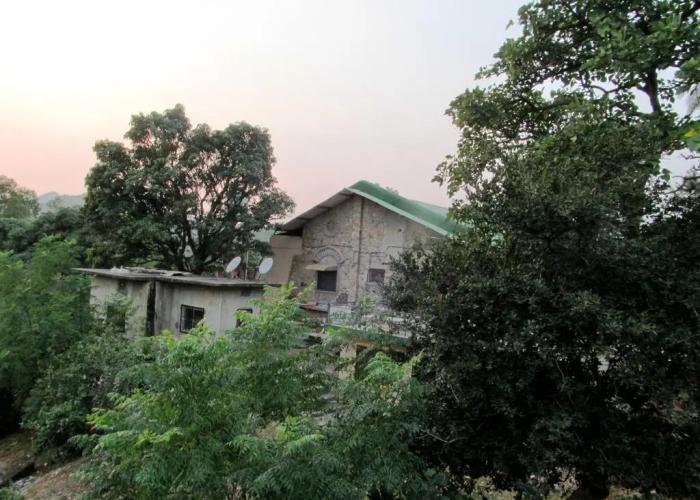 Forest Eco Lodge