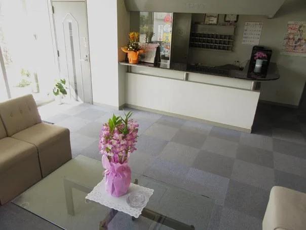 Business Hotel BM