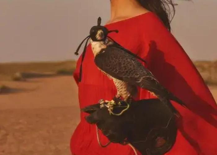 Four Seasons Dubai at Jumeirah Beach Resort