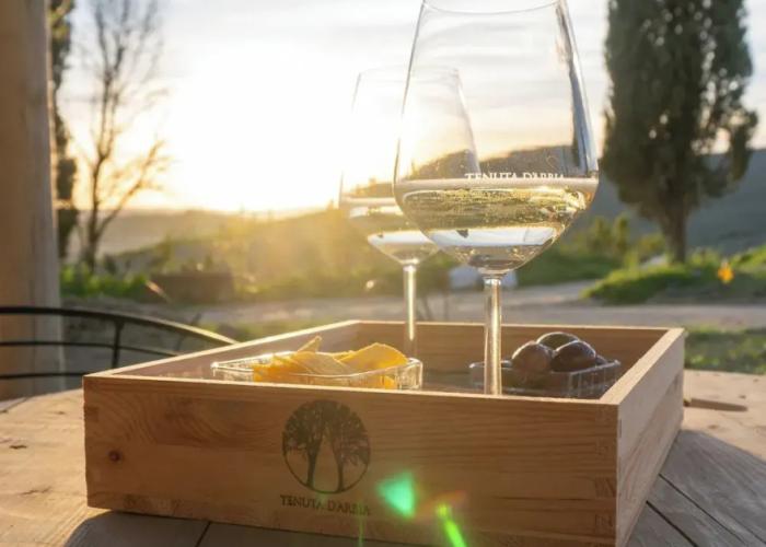 Tenuta d'Arbia